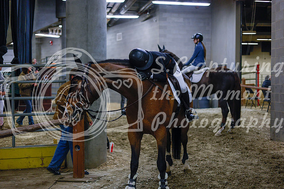 2025 - Haylee - Royal West - Sunday October 19th - 07758