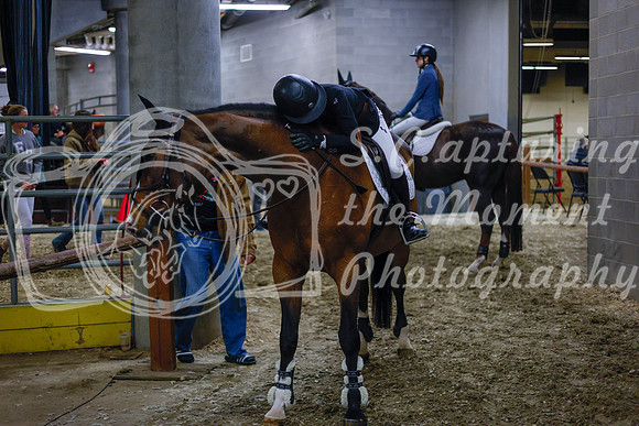 2025 - Haylee - Royal West - Sunday October 19th - 07760