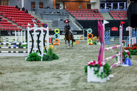 2025 - Shea - Royal West - Sunday October 19th - 03022