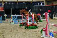 2025 - Haylee - Royal West - Sunday October 19th - 03895