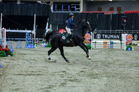 2025 - Shea - Royal West - Sunday October 19th - 02018