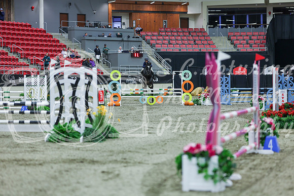 2025 - Shea - Royal West - Sunday October 19th - 02019