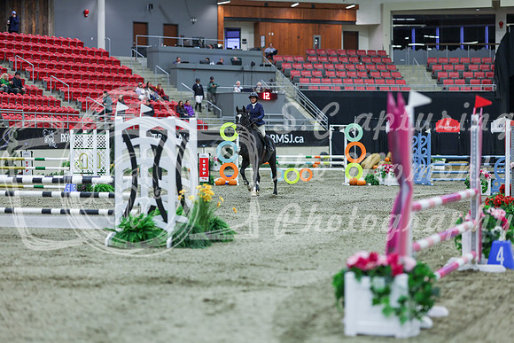 2025 - Shea - Royal West - Sunday October 19th - 02024