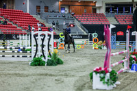2025 - Shea - Royal West - Sunday October 19th - 02025