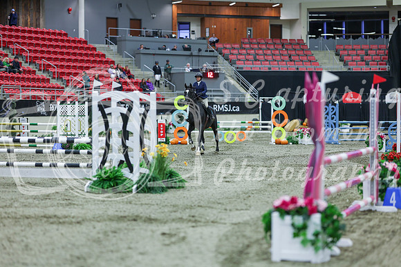 2025 - Shea - Royal West - Sunday October 19th - 02025