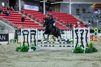 2025 - Shea - Royal West - Sunday October 19th - 02032