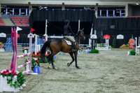 2025 - Shea - Royal West - Sunday October 19th - 02250