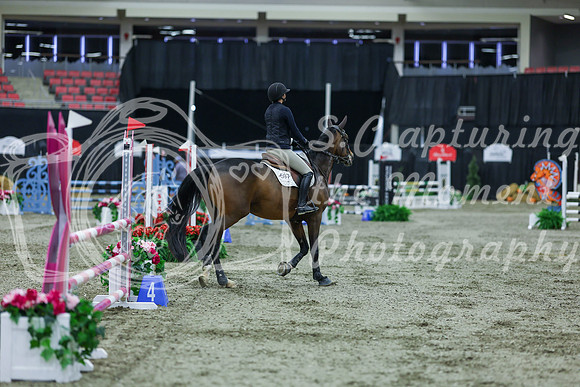 2025 - Shea - Royal West - Sunday October 19th - 02250