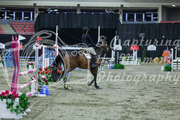 2025 - Shea - Royal West - Sunday October 19th - 02251