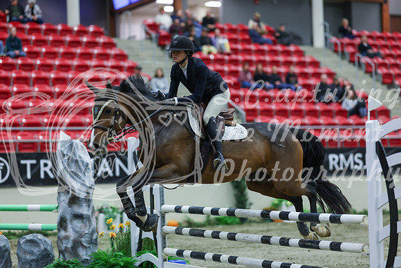 2025 - Shea - Royal West - Sunday October 19th - 02264