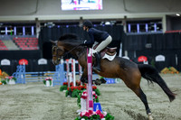 2025 - Shea - Royal West - Sunday October 19th - 02265