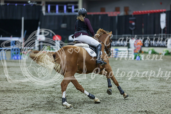 2025 - Shea - Royal West - Sunday October 19th - 02348