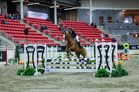 2025 - Shea - Royal West - Sunday October 19th - 02355