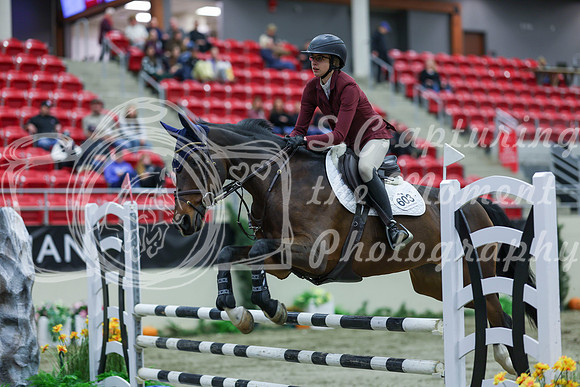 2025 - Shea - Royal West - Sunday October 19th - 02445
