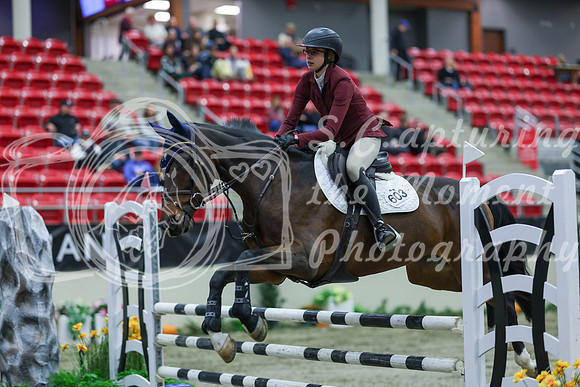 2025 - Shea - Royal West - Sunday October 19th - 02446