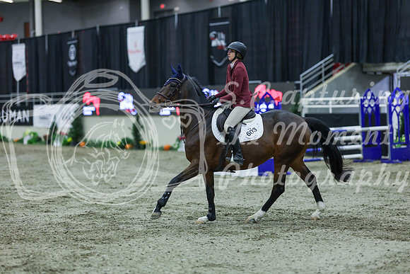 2025 - Shea - Royal West - Sunday October 19th - 02449