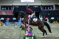 2025 - Shea - Royal West - Sunday October 19th - 02450