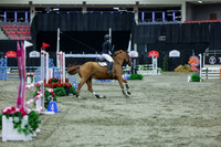 2025 - Shea - Royal West - Sunday October 19th - 02499