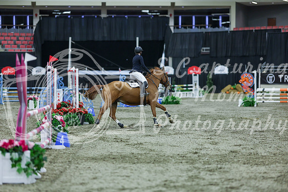 2025 - Shea - Royal West - Sunday October 19th - 02500