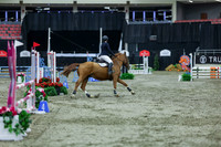 2025 - Shea - Royal West - Sunday October 19th - 02501