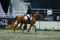 2025 - Shea - Royal West - Sunday October 19th - 02533