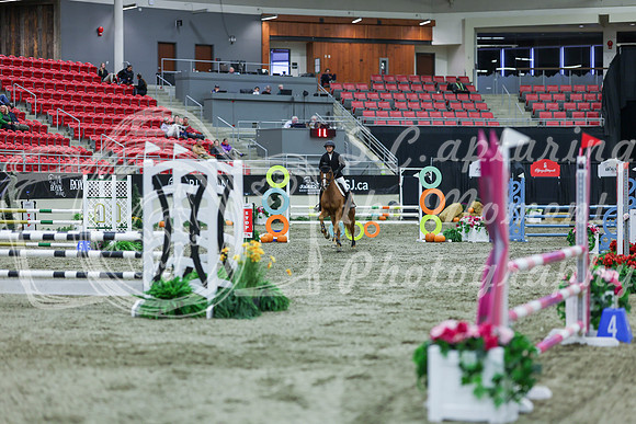 2025 - Shea - Royal West - Sunday October 19th - 02541