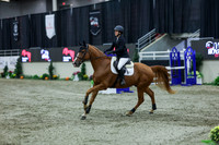 2025 - Shea - Royal West - Sunday October 19th - 02547