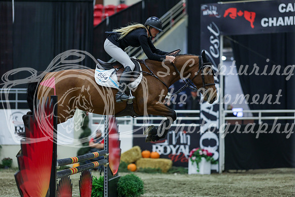 2025 - Shea - Royal West - Sunday October 19th - 02807