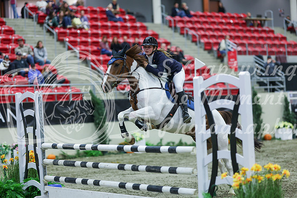 2025 - Shea - Royal West - Sunday October 19th - 02826