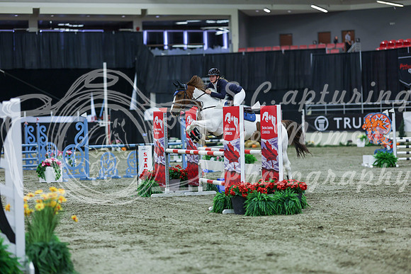 2025 - Shea - Royal West - Sunday October 19th - 02840