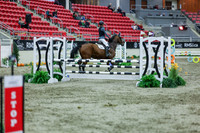 2025 - Shea - Royal West - Sunday October 19th - 02907