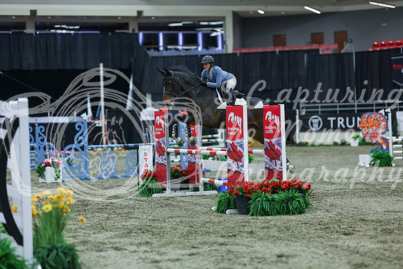 2025 - Shea - Royal West - Sunday October 19th - 03147