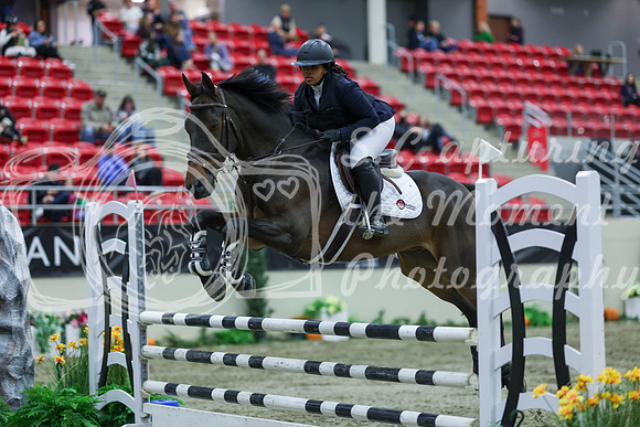 2025 - Shea - Royal West - Sunday October 19th - 03417