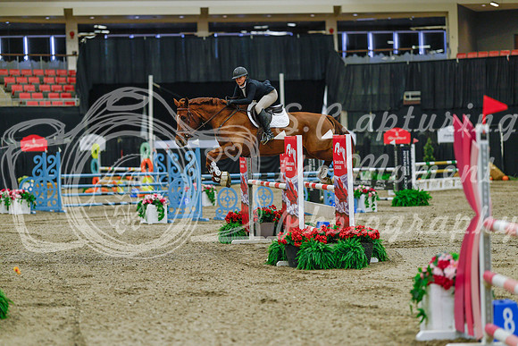 2025 - Haylee - Royal West - Sunday October 19th - 03900