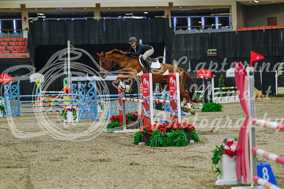 2025 - Haylee - Royal West - Sunday October 19th - 03897