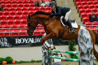 2025 - Haylee - Royal West - Sunday October 19th - 03907