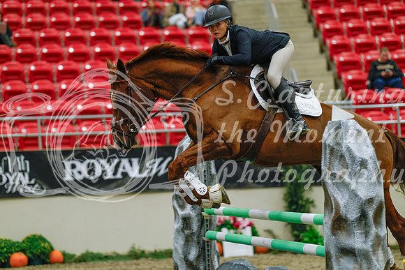 2025 - Haylee - Royal West - Sunday October 19th - 03907