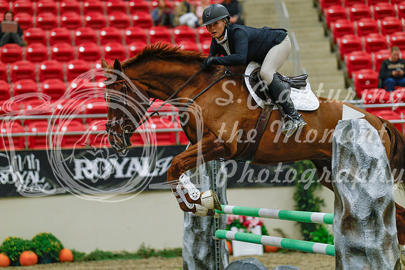 2025 - Haylee - Royal West - Sunday October 19th - 03908