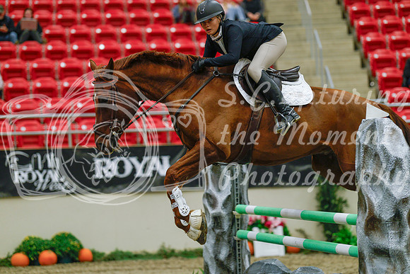2025 - Haylee - Royal West - Sunday October 19th - 03910