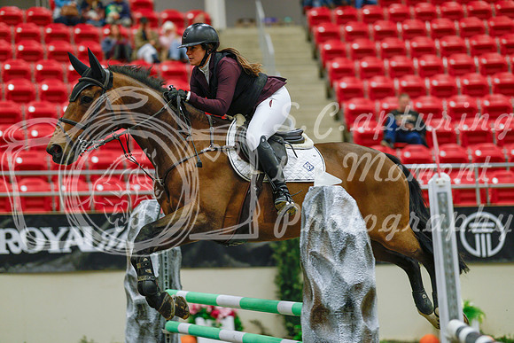 2025 - Haylee - Royal West - Sunday October 19th - 03966