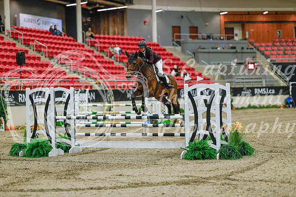2025 - Haylee - Royal West - Sunday October 19th - 03984