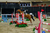 2025 - Haylee - Royal West - Sunday October 19th - 04175