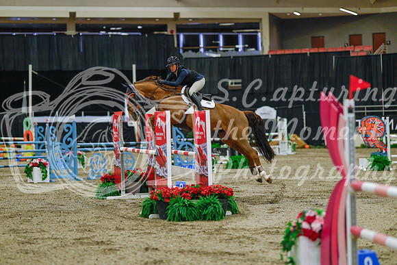 2025 - Haylee - Royal West - Sunday October 19th - 04178