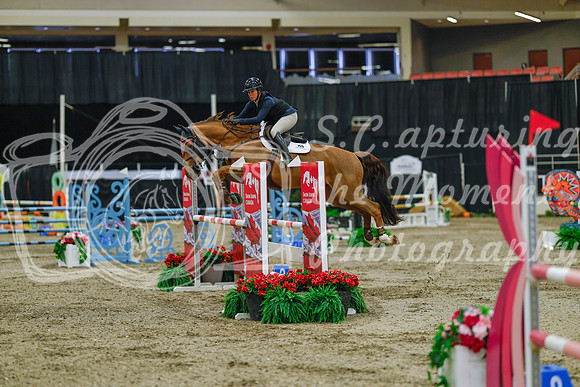 2025 - Haylee - Royal West - Sunday October 19th - 04180