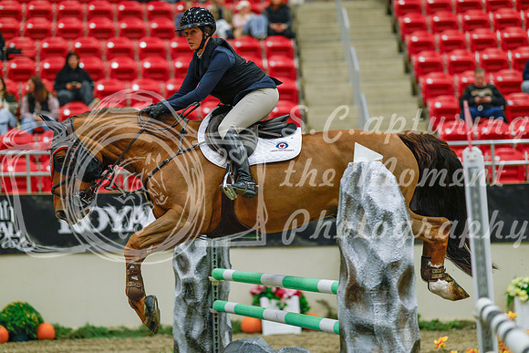 2025 - Haylee - Royal West - Sunday October 19th - 04188