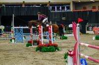 2025 - Haylee - Royal West - Sunday October 19th - 04271