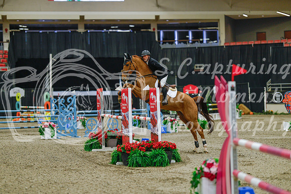 2025 - Haylee - Royal West - Sunday October 19th - 03787