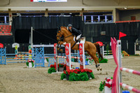 2025 - Haylee - Royal West - Sunday October 19th - 03790
