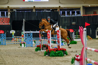 2025 - Haylee - Royal West - Sunday October 19th - 03791