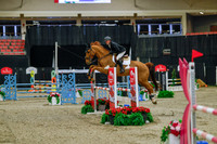 2025 - Haylee - Royal West - Sunday October 19th - 03792